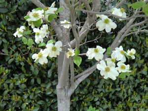 f:id:colorbless:20120419161645j:image f:id:colorbless:20120419161645j:image