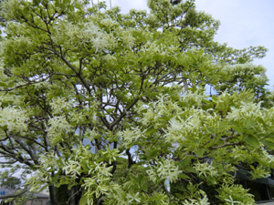 f:id:colorbless:20120419170932j:image