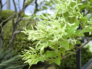 f:id:colorbless:20120419171011j:image
