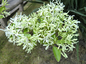 f:id:colorbless:20120419171022j:image