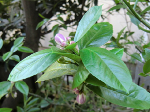 f:id:colorbless:20120421191532j:image