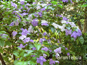 f:id:colorbless:20120505212509j:image f:id:colorbless:20120505212509j:image
