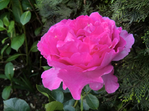 f:id:colorbless:20120505212737j:image