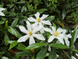 f:id:colorbless:20120529194323j:image
