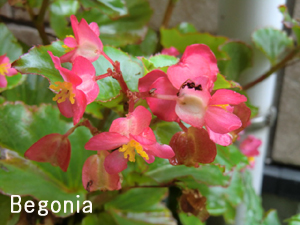 f:id:colorbless:20120701155012j:image