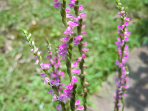 f:id:colorbless:20120708161335j:image