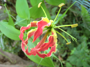 f:id:colorbless:20120713133850j:image