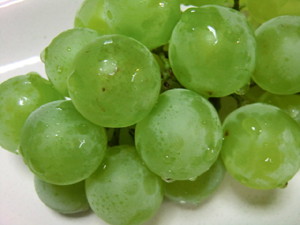 f:id:colorbless:20120719022544j:image