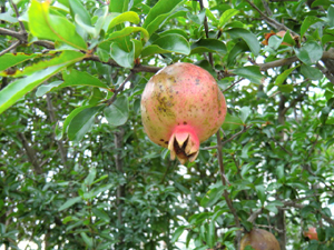 f:id:colorbless:20120720195611j:image