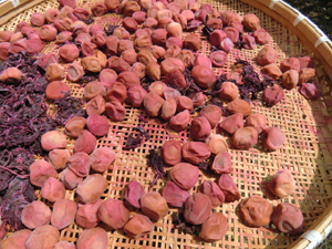 f:id:colorbless:20120729134531j:image