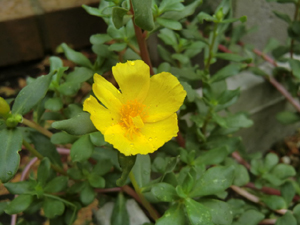 f:id:colorbless:20120827152010j:image
