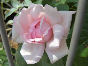 f:id:colorbless:20120901151843j:image
