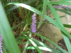 f:id:colorbless:20120901151936j:image