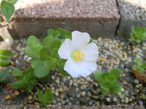 f:id:colorbless:20120909155846j:image