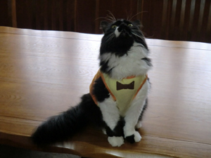 f:id:colorbless:20120916163811j:image