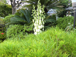 f:id:colorbless:20120918191113j:image