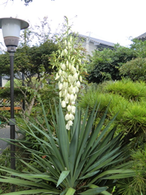 f:id:colorbless:20120918191202j:image