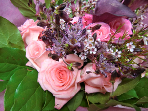 f:id:colorbless:20120927214024j:image