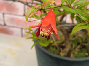 f:id:colorbless:20121025175939j:image