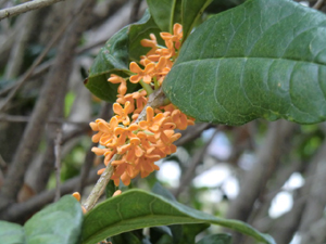 f:id:colorbless:20121029181741j:image