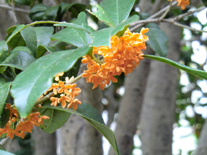 f:id:colorbless:20121029181758j:image