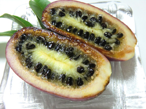 f:id:colorbless:20121116223833j:image