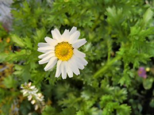 f:id:colorbless:20130111184446j:image