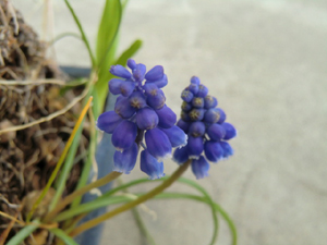 f:id:colorbless:20130306190406j:image f:id:colorbless:20130306190406j:image