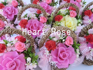 f:id:colorbless:20130320175623j:image