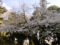 20130320193530