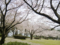 20130323140744