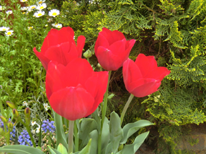 f:id:colorbless:20130330182359j:image