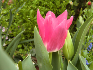 f:id:colorbless:20130330182417j:image