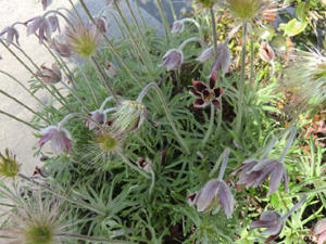 f:id:colorbless:20130331184609j:image