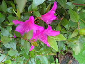 f:id:colorbless:20130331185021j:image