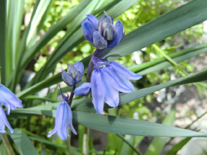 f:id:colorbless:20130409160608j:image