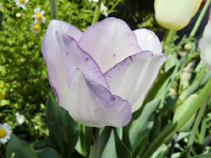 f:id:colorbless:20130409160632j:image