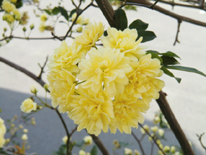 f:id:colorbless:20130414185944j:image
