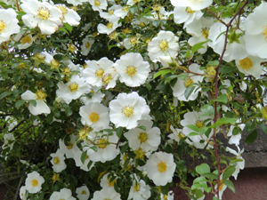 f:id:colorbless:20130415161022j:image
