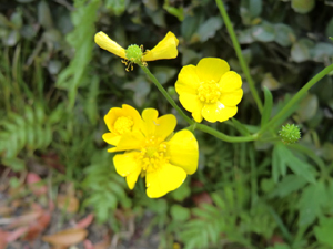 f:id:colorbless:20130415161821j:image