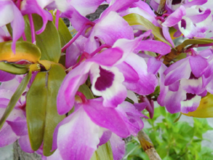f:id:colorbless:20130421214246j:image