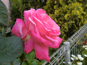 f:id:colorbless:20130421214433j:image