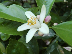f:id:colorbless:20130421214531j:image