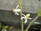 20130521163251