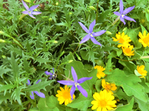 f:id:colorbless:20130530182110j:image