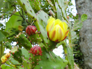 f:id:colorbless:20130609185737j:image