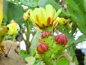 f:id:colorbless:20130609185801j:image