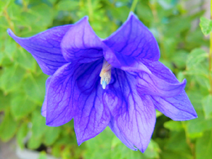 f:id:colorbless:20130625182916j:image