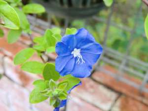 20130829143550