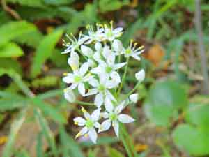 f:id:colorbless:20130914134037j:image